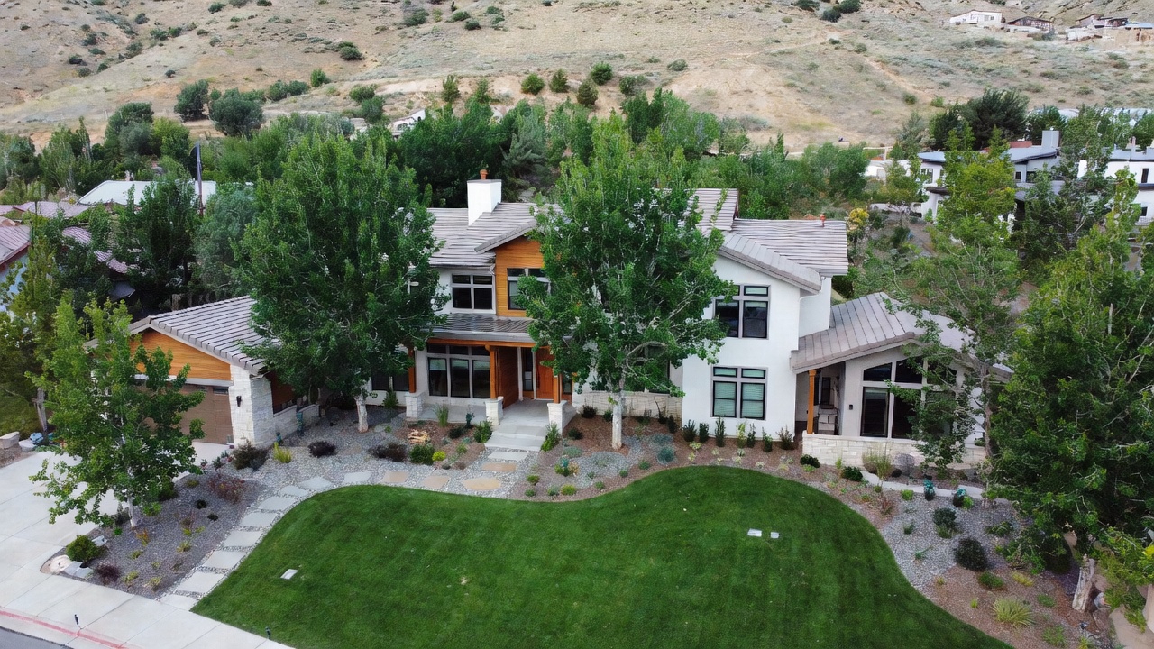 Aerial view of tree pruning
